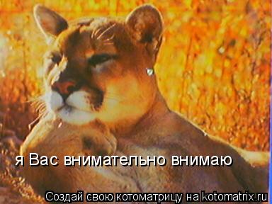 я Вас внимательно внимаю... Котоматрица: я Вас внимательно внимаю