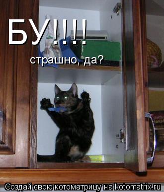 БУ!!!! страшно, да?... Котоматрица: БУ!!!! страшно, да?