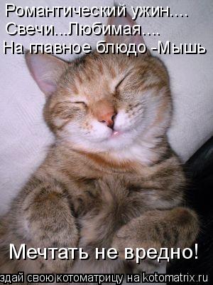 Романтический ужин.... Свечи...Любимая.... На главное блюдо -Мышь Мечтать не вредно!... Котоматрица: Романтический ужин.... Свечи...Любимая.... На главное блюдо -Мышь Мечтать не вредно!