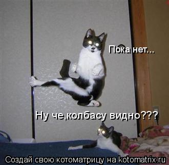 Ну че,колбасу видно??? Ну че,колбасу видно??? Пока нет... Пока нет...... Котоматрица: Ну че,колбасу видно??? Ну че,колбасу видно??? Пока нет... Пока нет...