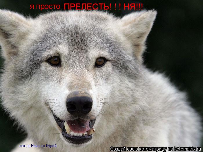 я просто ПРЕЛЕСТЬ! ! ! НЯ!!! автор-Нэко но Курой... Котоматрица: я просто ПРЕЛЕСТЬ! ! ! НЯ!!! автор-Нэко но Курой