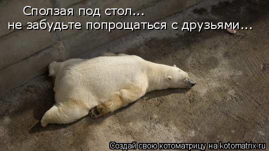 Сползая под стол... не забудьте попрощаться с друзьями...... Котоматрица: Сползая под стол... не забудьте попрощаться с друзьями...