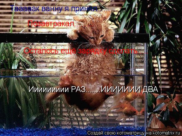 Тааааак ванну я принял...... Позавтракал......... Осталось ещё зарядку сделать..... Иииииииии РАЗ....... Котоматрица: Тааааак ванну я принял...... Позавтракал......... Осталось ещё зарядку сделать..... Иииииииии РАЗ.......ИИИИИИИ ДВА