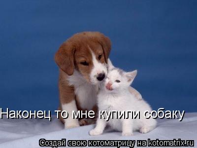 Наконец то мне купили собаку... Котоматрица: Наконец то мне купили собаку