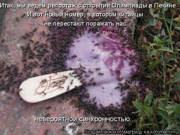 невероятной синхронностью... Итак, мы ведем репортаж с открытия Олимпиады в Пекине И вот новый номер,... Котоматрица: невероятной синхронностью... Итак, мы ведем репортаж с открытия Олимпиады в Пекине И вот новый номер, в котором китайцы не перестают поража