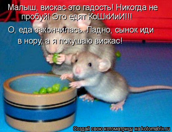 Малыш, вискас это гадость! Никогда не пробуй! Это едят КоШкИиИ!!! О, еда закончилась. Ладно, сынок и... Котоматрица: Малыш, вискас это гадость! Никогда не пробуй! Это едят КоШкИиИ!!! О, еда закончилась. Ладно, сынок иди в нору, а я покушаю вискас!
