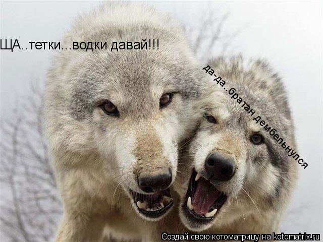 ЩА..тетки...водки давай!!! да-да..братан дембельнулся... Котоматрица: ЩА..тетки...водки давай!!! да-да..братан дембельнулся