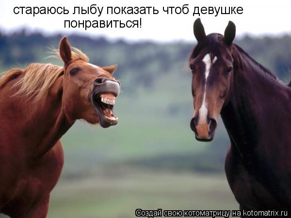 стараюсь лыбу показать чтоб девушке понравиться!... Котоматрица: стараюсь лыбу показать чтоб девушке понравиться!