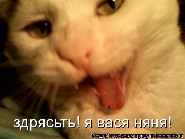 Котоматрица: здрясьть! я вася няня!