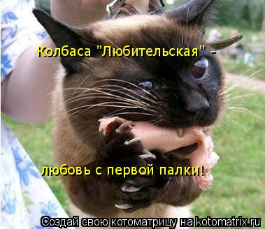 Колбаса "Любительская" - любовь с первой палки!... Котоматрица: Колбаса "Любительская" - любовь с первой палки!