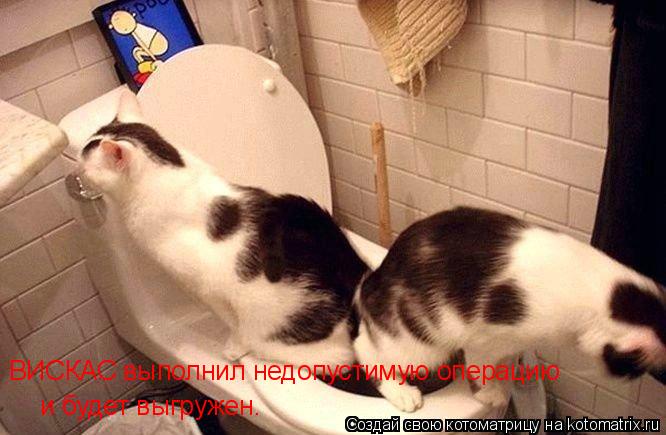 ВИСКАС выполнил недопустимую операцию и будет выгружен.... Котоматрица: ВИСКАС выполнил недопустимую операцию и будет выгружен.