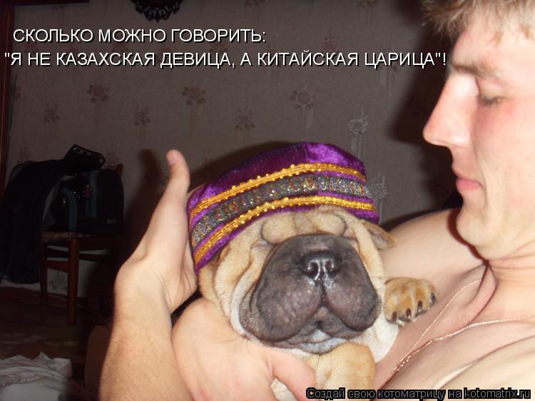 СКОЛЬКО МОЖНО ГОВОРИТЬ: "Я НЕ КАЗАХСКАЯ ДЕВИЦА, А КИТАЙСКАЯ ЦАРИЦА"!... Котоматрица: СКОЛЬКО МОЖНО ГОВОРИТЬ: "Я НЕ КАЗАХСКАЯ ДЕВИЦА, А КИТАЙСКАЯ ЦАРИЦА"!