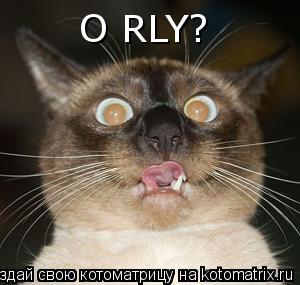 Котоматрица: O RLY?