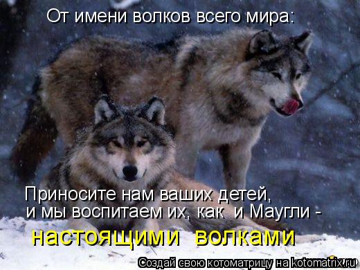 Приносите нам ваших детей, настоящими волками настоящими волками От имени волков всего мира: и мы ... Котоматрица: Приносите нам ваших детей, настоящими волками настоящими волками От имени волков всего мира: и мы воспитаем их, как и Маугли -