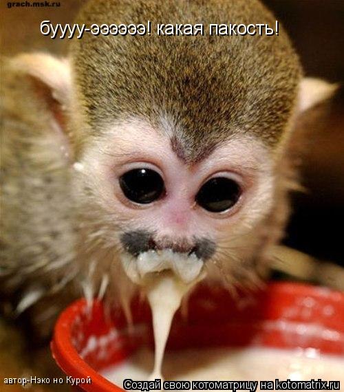Котоматрица: буууу-ээээээ! какая пакость! автор-Нэко но Курой