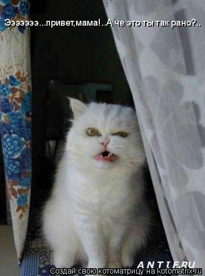 Котоматрица: Эээээээ...привет,мама!..А че это ты так рано?.. Эээээээ...привет,мама!..А че это ты так рано?.. Эээээээ...привет,мама!..А че это ты так рано?.. Ээээээ