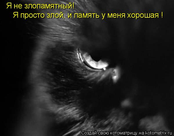 Злая, и память хорошая Злая, и память хорошая