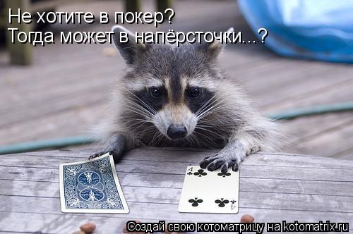 Не хотите в покер? Тогда может в напёрсточки...?... Котоматрица: Не хотите в покер? Тогда может в напёрсточки...?
