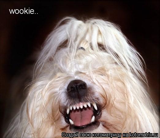 wookie..... Котоматрица: wookie..