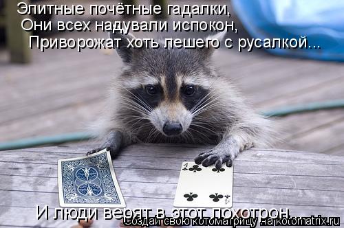 Элитные почётные гадалки, Они всех надували испокон, Приворожат хоть лешего с русалкой... И люди ... Котоматрица: Элитные почётные гадалки, Они всех надували испокон, Приворожат хоть лешего с русалкой... И люди верят в этот лохотрон...
