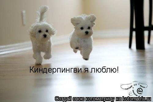 Котоматрица: Киндерпингви я люблю!