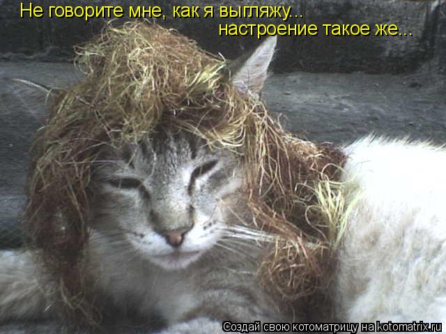 Не говорите мне, как я выгляжу... настроение такое же...... Котоматрица: Не говорите мне, как я выгляжу... настроение такое же...