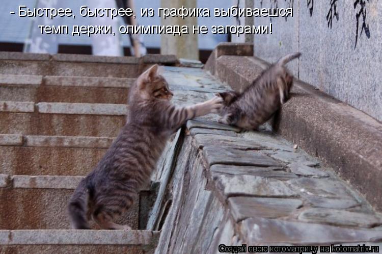 Котоматрица: - Быстрее, быстрее, из графика выбиваешся  темп держи, олимпиада не загорами!