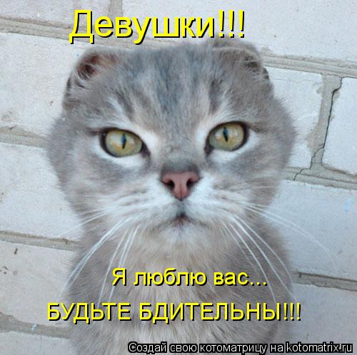 Девушки!!! Я люблю вас... БУДЬТЕ БДИТЕЛЬНЫ!!!... Котоматрица: Девушки!!! Я люблю вас... БУДЬТЕ БДИТЕЛЬНЫ!!!