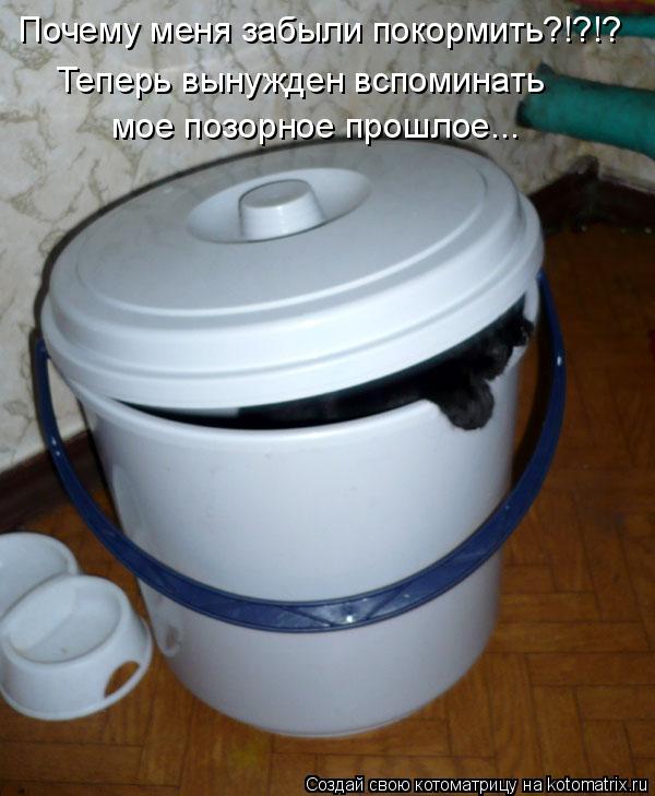 Почему меня забыли покормить?!?!? Теперь вынужден вспоминать мое позорное прошлое...... Котоматрица: Почему меня забыли покормить?!?!? Теперь вынужден вспоминать мое позорное прошлое...