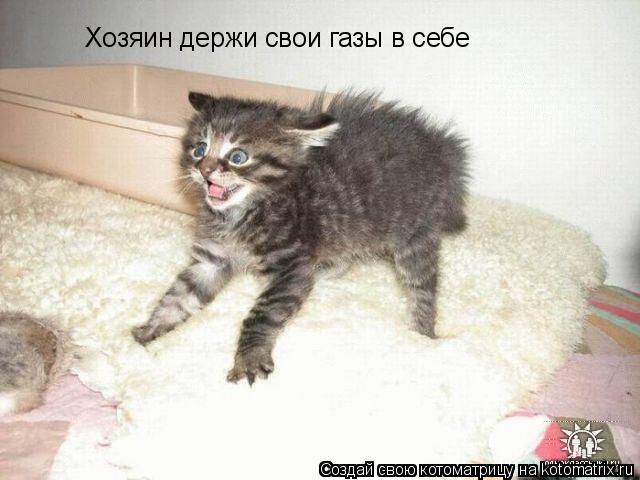 Котоматрица: Хозяин держи свои газы в себе