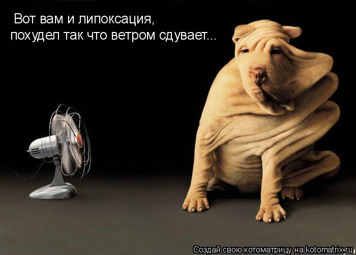 Вот вам и липоксация, похудел так что ветром сдувает...... Котоматрица: Вот вам и липоксация, похудел так что ветром сдувает...