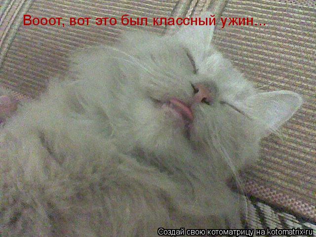 Котоматрица: Вооот, вот это был классный ужин...