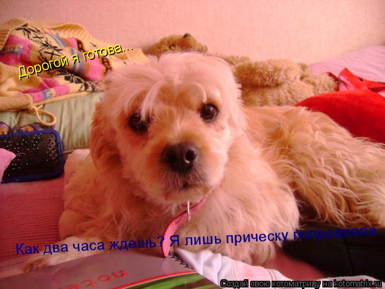 Дорогой я готова... Как два часа ждешь? Я лишь прическу попровляла...... Котоматрица: Дорогой я готова... Как два часа ждешь? Я лишь прическу попровляла...