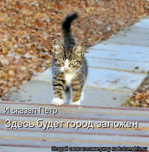 И сказал Пётр : «Здесь будет город заложен»... Котоматрица: И сказал Пётр : «Здесь будет город заложен»