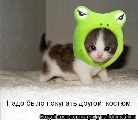 Надо было покупать другой костюм... Котоматрица: Надо было покупать другой костюм