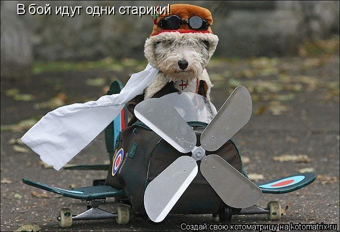 В бой идут одни старики!... Котоматрица: В бой идут одни старики!