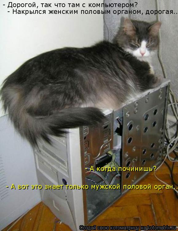 - Дорогой, так что там с компьютером? - Накрылся женским половым органом, дорогая... - А когда почини... Котоматрица: - Дорогой, так что там с компьютером? - Накрылся женским половым органом, дорогая... - А когда починишь? - А вот это знает только мужской половой