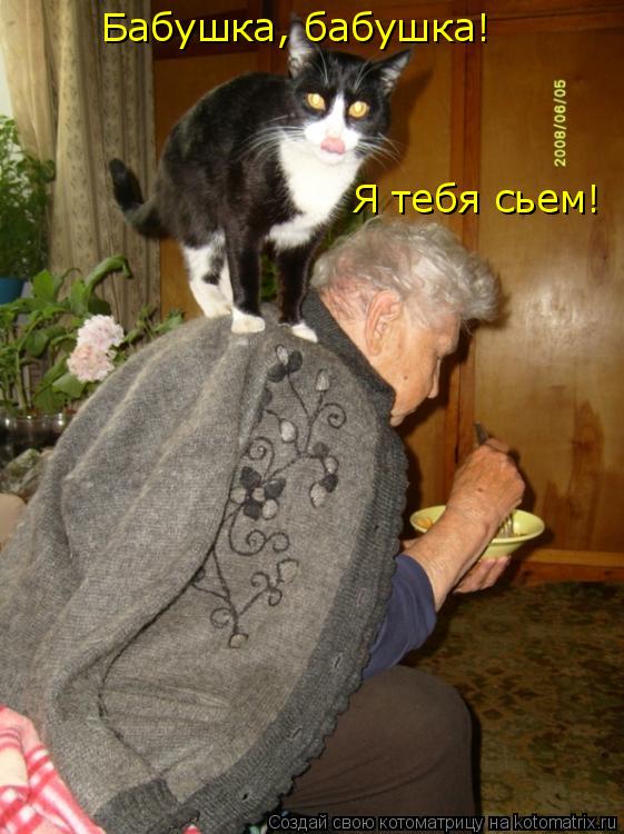 Бабушка, бабушка! Я тебя сьем!... Котоматрица: Бабушка, бабушка! Я тебя сьем!