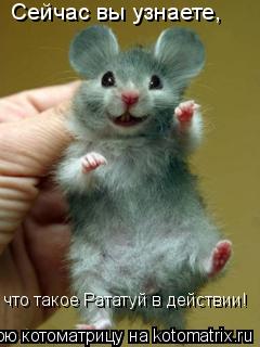 Сейчас вы узнаете, что такое Рататуй в действии!... Котоматрица: Сейчас вы узнаете, что такое Рататуй в действии!