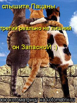 Котоматрица: третий реально не лишний слышите Пацаны он ЗапасноЙ :)