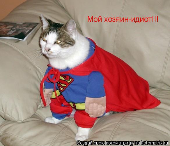 Котоматрица: Мой хозяин-идиот!!!