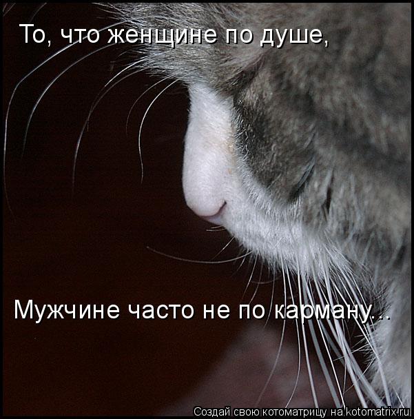 Котоматрица: То, что женщине по душе,  Мужчине часто не по карману...