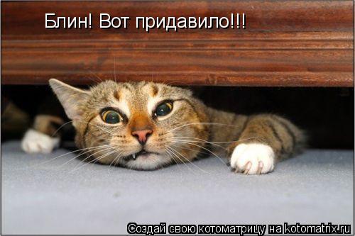Котоматрица: Блин! Вот придавило!!!