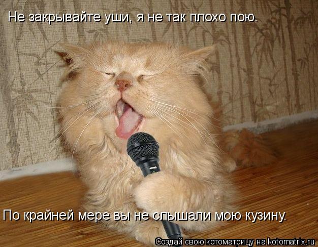 Не закрывайте уши, я не так плохо пою. По крайней мере вы не слышали мою кузину.... Котоматрица: Не закрывайте уши, я не так плохо пою. По крайней мере вы не слышали мою кузину.