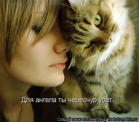 Котоматрица: Для ангела ты чересчур усат...