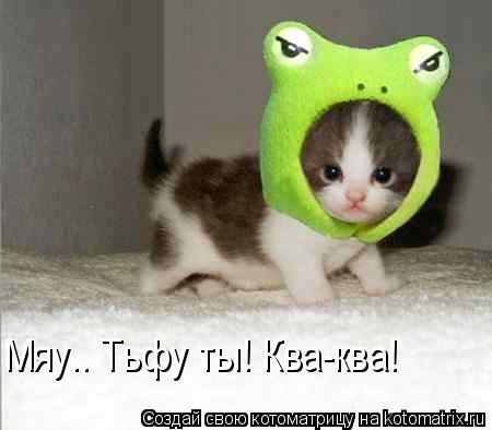 Мяу.. Тьфу ты! Ква-ква!... Котоматрица: Мяу.. Тьфу ты! Ква-ква!