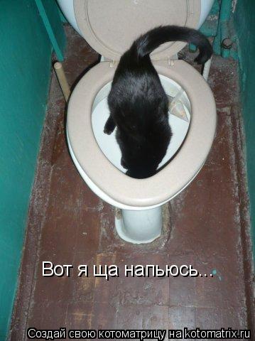 Вот я ща напьюсь...... Котоматрица: Вот я ща напьюсь...