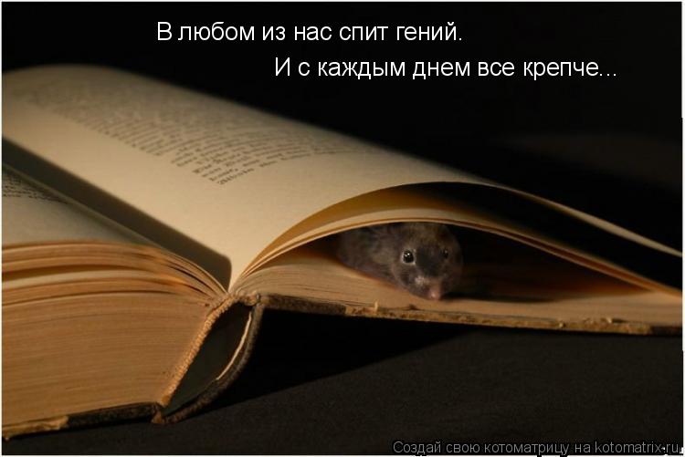 Котоматрица: В любом из нас спит гений.  И с каждым днем все крепче...