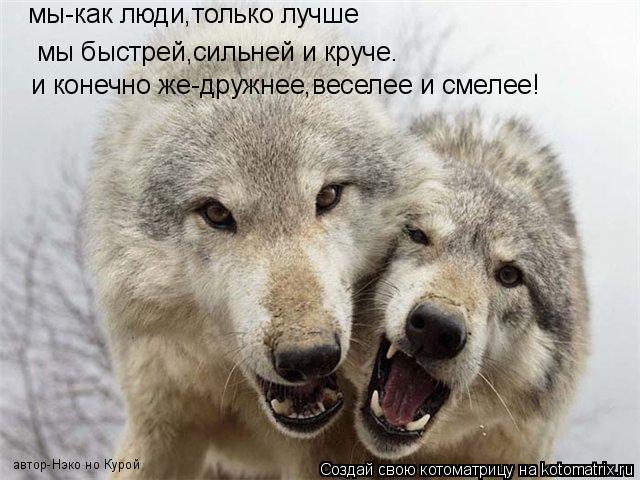 мы быстрей,сильней и круче. и конечно же-дружнее,веселее и смелее! мы-как люди,только лучше автор-Нэк... Котоматрица: мы быстрей,сильней и круче. и конечно же-дружнее,веселее и смелее! мы-как люди,только лучше автор-Нэко но Курой