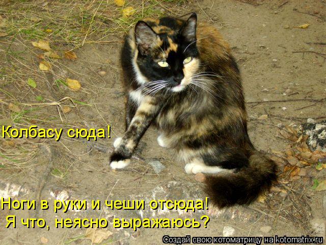 Колбасу сюда! Ноги в руки и чеши отсюда! Я что, неясно выражаюсь?... Котоматрица: Колбасу сюда! Ноги в руки и чеши отсюда! Я что, неясно выражаюсь?